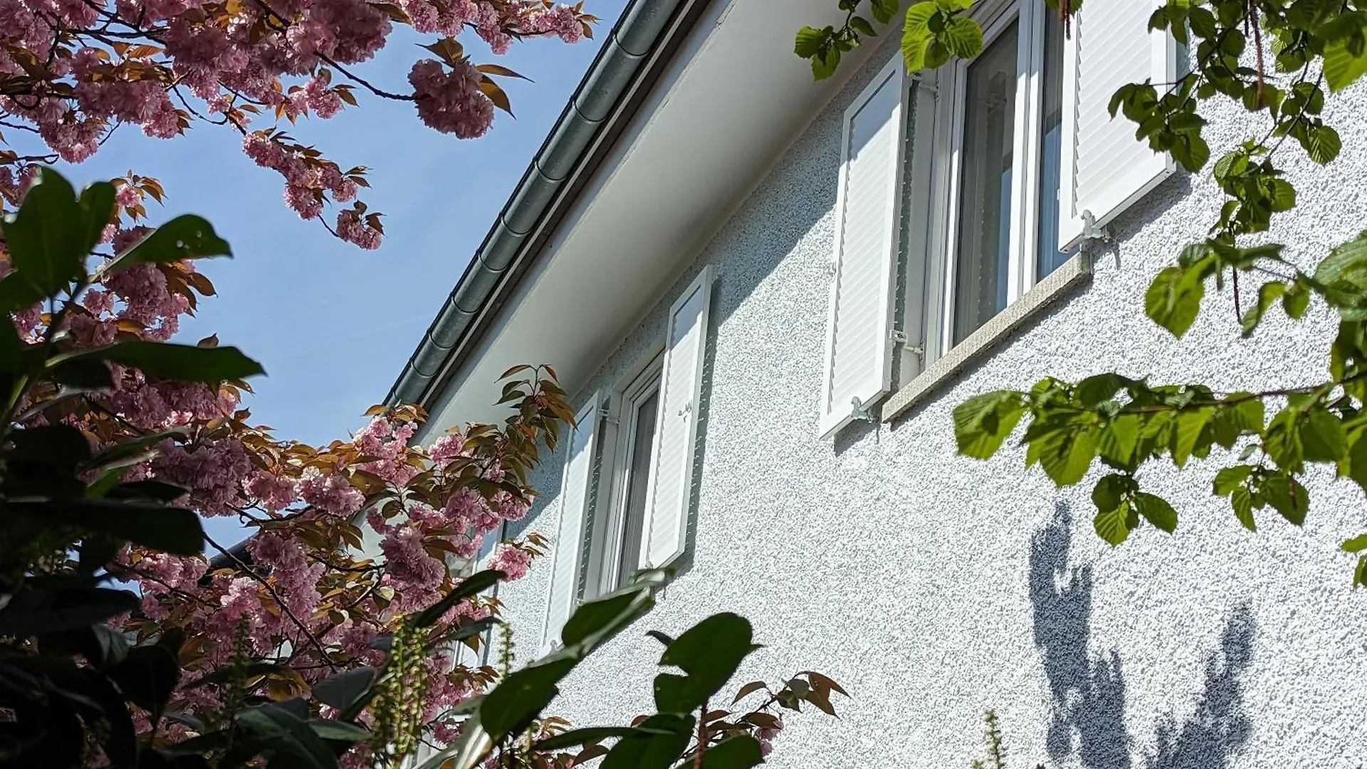Appartement Lago Ferienwohnungen - Weiss Lindau